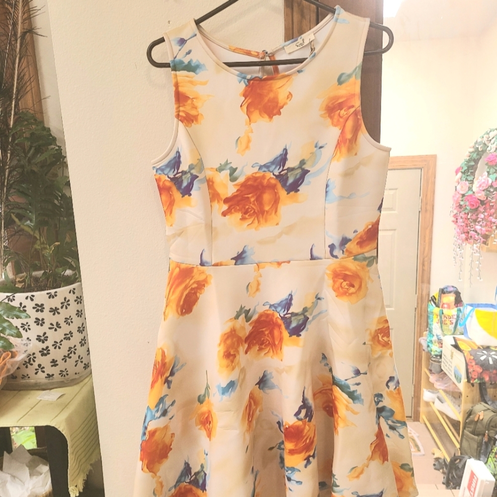 🆕️Easel Floral Watercolor Scuba Tank Dress Watercolor Roses Party Dress